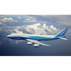 3D модель из металла "Боинг 747"-foto7