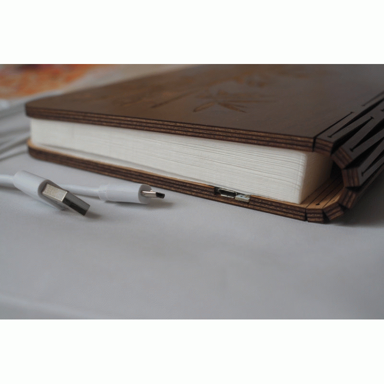 Светильник "Книга"