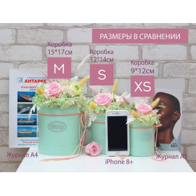 Букет стабілізованих квітів "До високих досягнень"-foto4