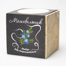 Экокуб "Можжевельник"