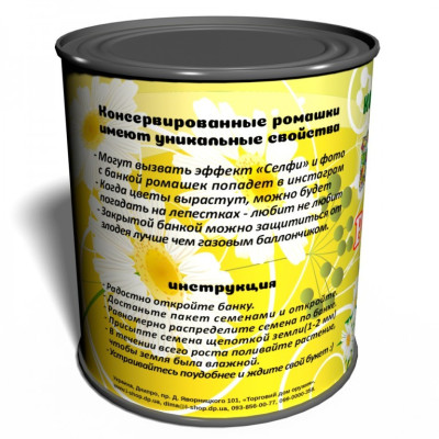 Растение-консерва "Букет ромашек"-foto2