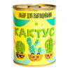 Набор для выращивания "Кактус"