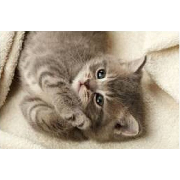 Поднос-столик с подушкой "Котенок"