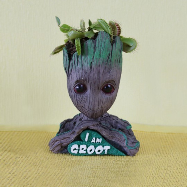 Органайзер, вазон для квітів, підставка для канцелярії "I am Groot"
