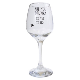 Винный бокал "Are you drunk?"
